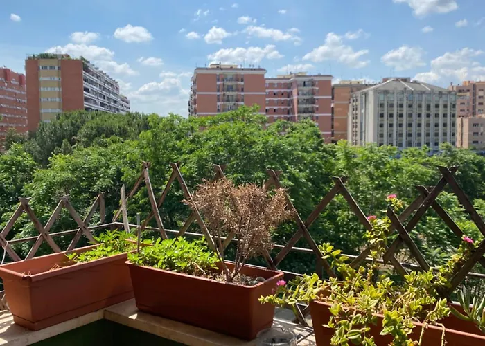 Roma's Home! Roma